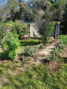 Appartements Cap au Sud Sweet home : Appartement 1 Chambre