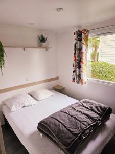 Campings Mobil home a Boofzheim - EUROPA PARK et RULANTICA : photos des chambres
