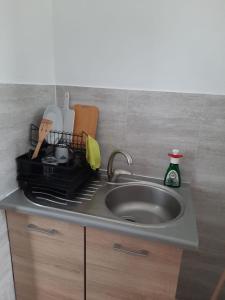 Władyslawowo Łebcz Modrzew