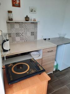 Władyslawowo Łebcz Modrzew