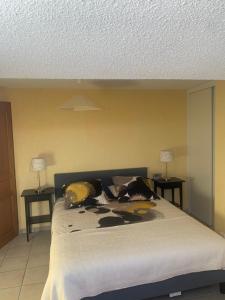 villa plein sud ensoleillée