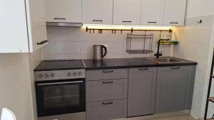 Cozy apartment in Petrovac