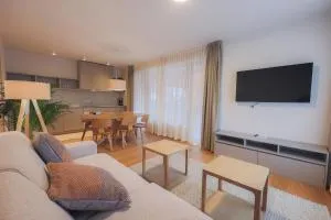 Apartments Alpine Nest - 特伦塔