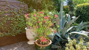 B&B / Chambres d'hotes Gites Les Roses : photos des chambres