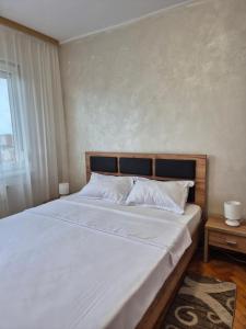 Mikas Apartment - comfort and style in Oradea