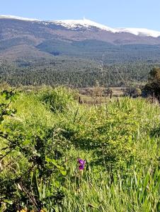 B&B / Chambres d'hotes Chambre d'hotes ici : photos des chambres