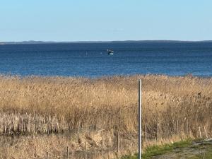 Karnocice Apartamenty