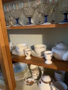 Karuizawa Saku Mountain hut in the forest BBQ with friends - Wada