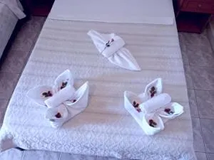 Nikis studios - 斯卡拉索提罗斯