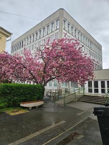 HelloWine Apartman II