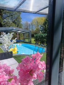 B&B / Chambres d'hotes A l'Oree du Parc : photos des chambres