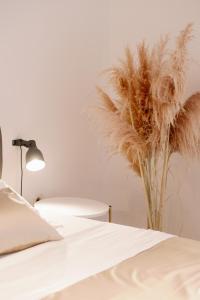 Central In Residence Split