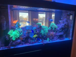 Hotel Le Beau Rivage