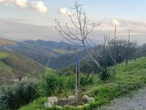 B&b da Elena e Davide