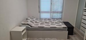 Mehrere Ferienwohnungen in Top Lage in der Nähe eines Rhein-Strandbads