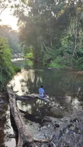 Coorgglade - Kakkabe