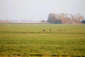 B&B de Friese Meren, helemaal privé voor jou!