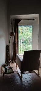 Alchimia Verde Herbaria