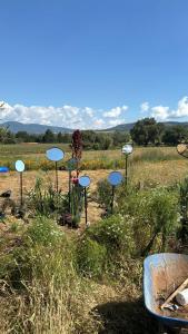 Glamping en Cabaña A-Frame en campo de Espárragos