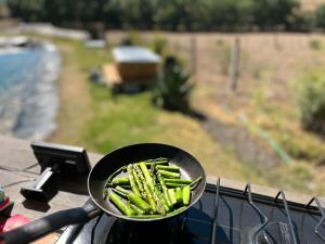 Glamping en Cabaña A-Frame en campo de Espárragos