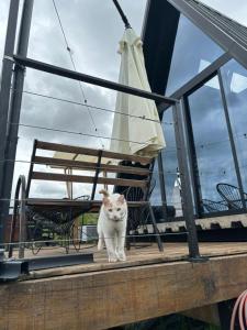 Glamping en Cabaña A-Frame en campo de Espárragos