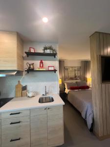 Window to Paris Studio on Lake Conroe