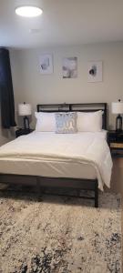 Hommie Vibes Basement Suite