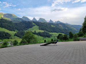 Ferienwohnung Toggilodge