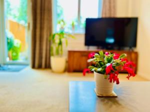 Cosy Quiet Double Room