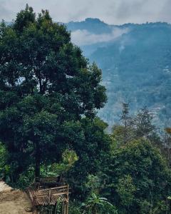 Uncharted Retreats Nomee Homestay