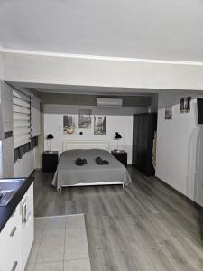 Black & White STUDIO by Emmelia Group