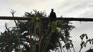 Apartamento Reserva Timeantube - Mata de São João