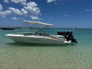 Perfect summer excursions