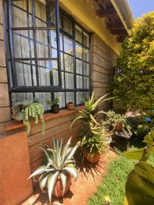 Comfy and convenient guest room