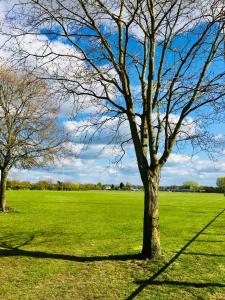 Cosy Quiet Double Room