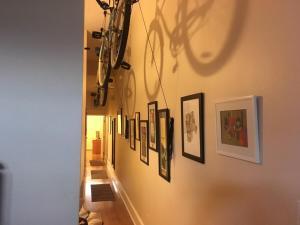 Near bustling Magazine St with bikes