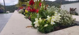 דירת נוף - 艾因霍德