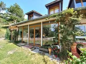 Maison familliale La Abuela - lac - 埃姆布能