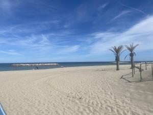 Appartement T2 Mezzanine avec Terrasse, Piscine, Proche Plage et Commerces - Le Barcarès Village - FR-1-782-48