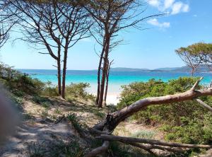 Casa MaRì, a due passi dal mare img15