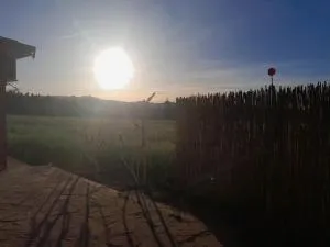 Maison de location Tlemcen ville - 'Aïn Temouchent