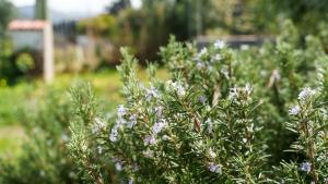 La Villa del Relax img42