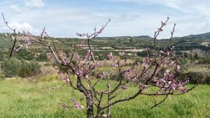 La Villa del Relax img65