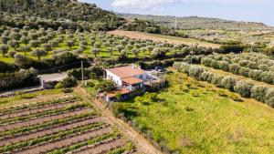 La Villa del Relax img70