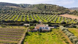 La Villa del Relax img72