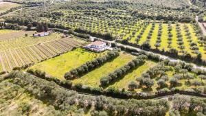 La Villa del Relax img74