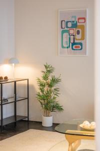 Venus Apartments - Paulay Ede II