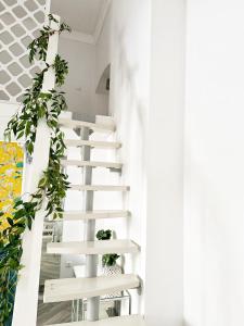 Anna Stevar brand apartment