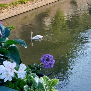 Hotels Mercure Strasbourg Centre : photos des chambres