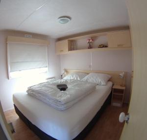 Chalet met 2 slaapkamers op gezellige camping met zwembad nabij Ijsselmeer